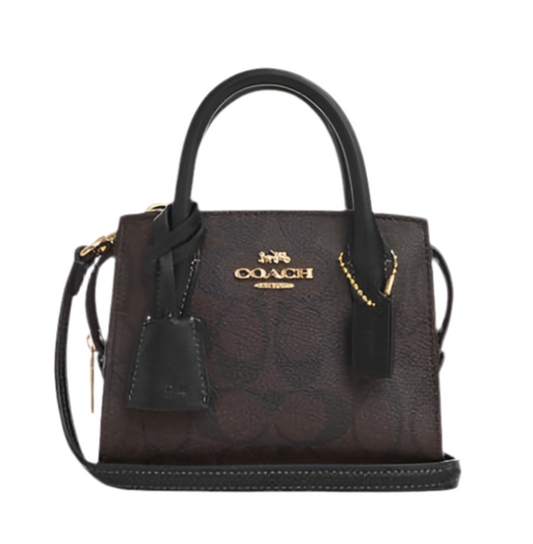 COACH Andrea Mini Carryall in Signature Canvas